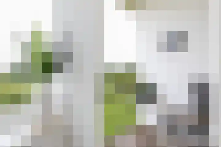 Beekmanstraat 18 Hoofddorp thumbnail 13