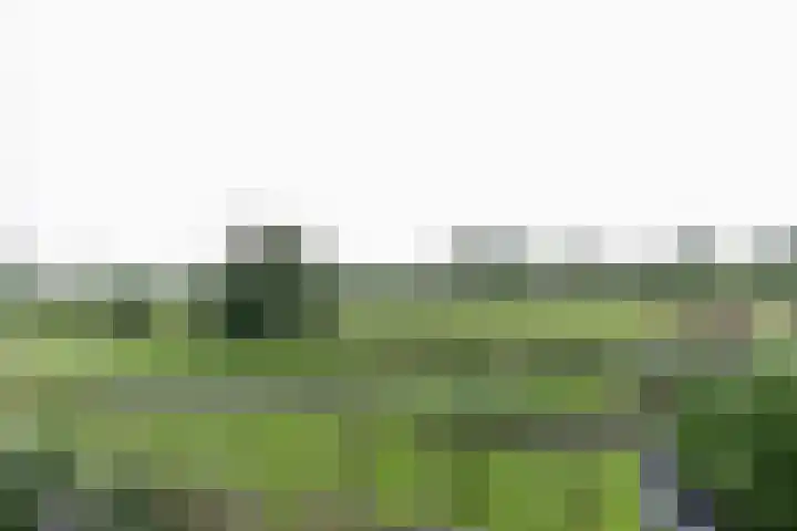 Beekmanstraat 18 Hoofddorp thumbnail 15