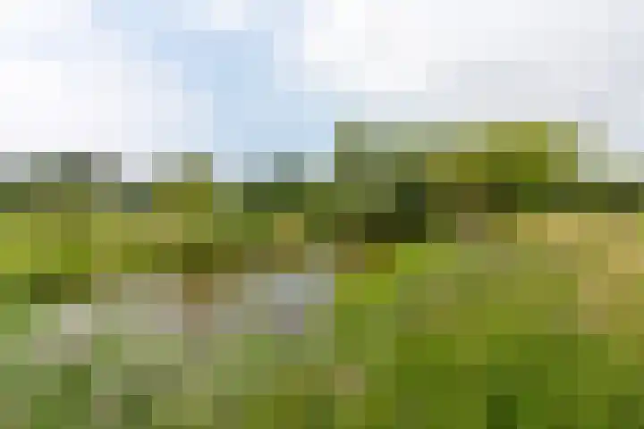 Beekmanstraat 18 Hoofddorp thumbnail 16