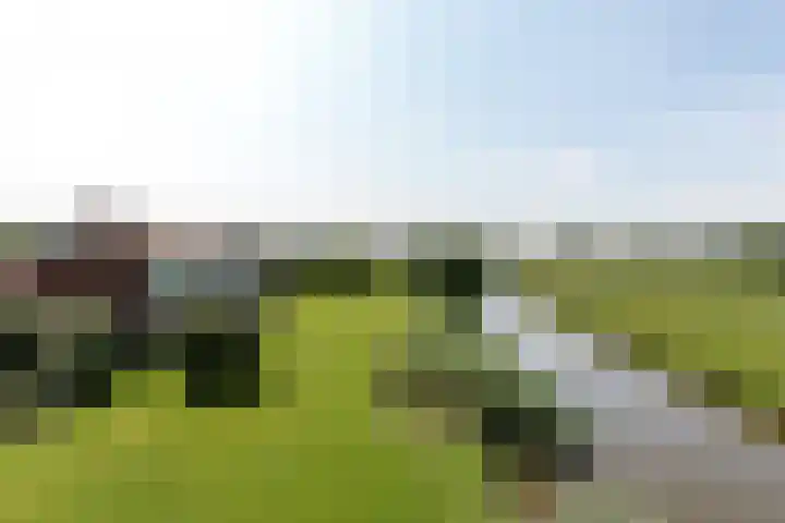 Beekmanstraat 18 Hoofddorp thumbnail 18