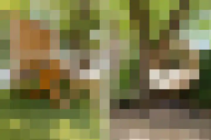 Beekmanstraat 187 Dordrecht thumbnail 29
