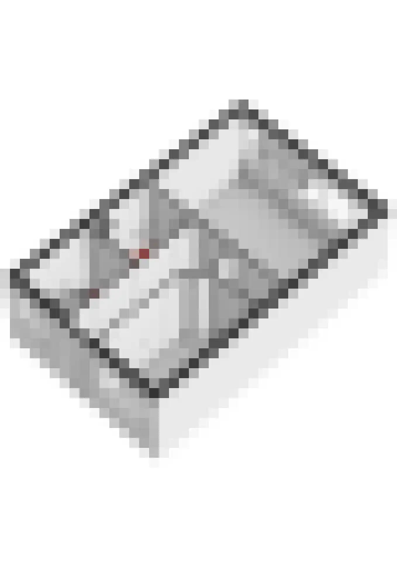 Beekmanstraat 37 Dordrecht thumbnail 32