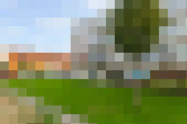 Beekmanstraat 61 Dordrecht thumbnail 30