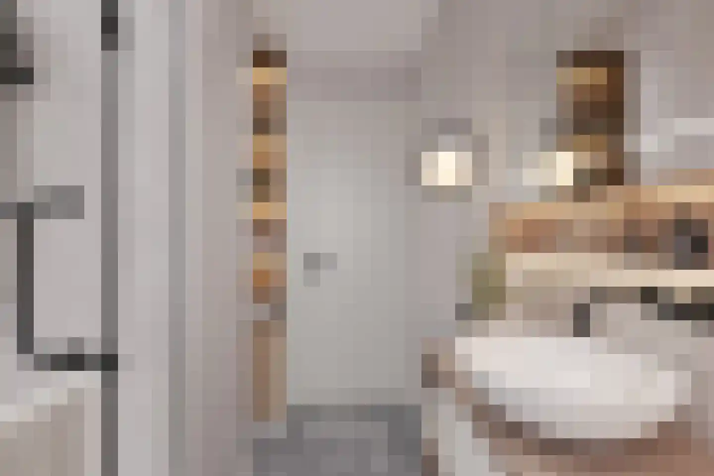 Beekmanstraat 7 Aardenburg thumbnail 20