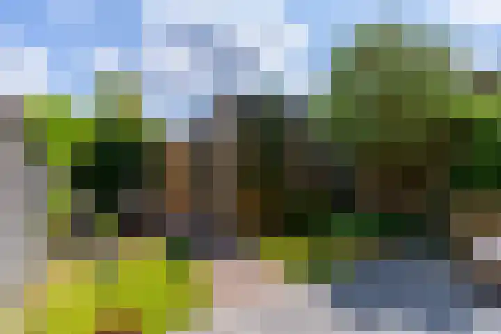 Beekoeverhof 3 Utrecht thumbnail 10