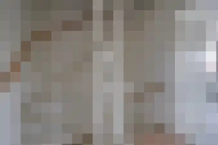 Beekoeverhof 3 Utrecht thumbnail 13