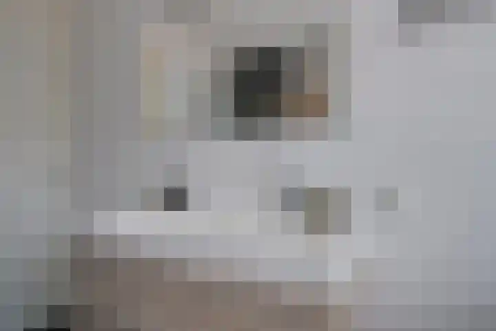 Beekoeverhof 3 Utrecht thumbnail 19