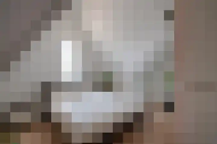 Beekoeverhof 3 Utrecht thumbnail 20