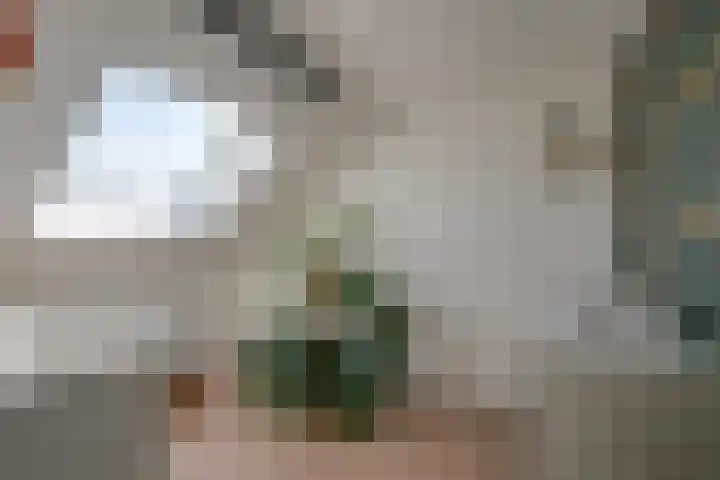 Beekoeverhof 3 Utrecht thumbnail 22
