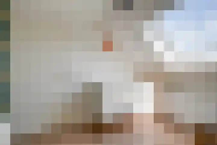 Beekoeverhof 3 Utrecht thumbnail 24