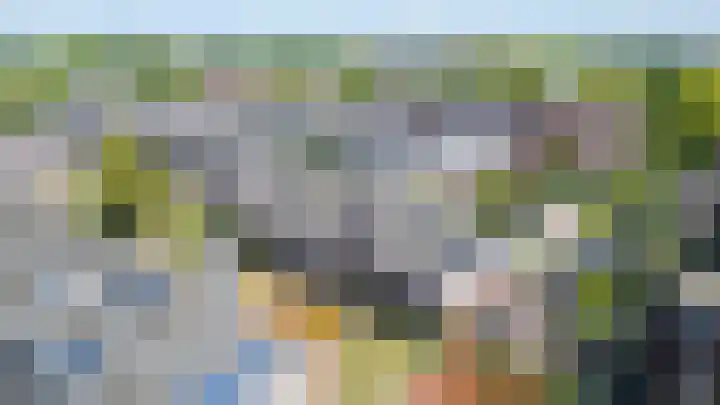 Beekoeverhof 3 Utrecht thumbnail 29