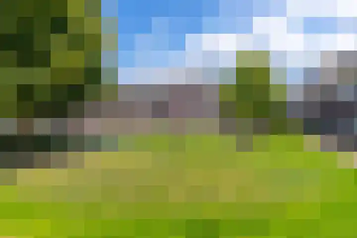 Beekoeverhof 3 Utrecht thumbnail 32