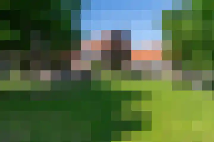 Beekoeverhof 3 Utrecht thumbnail 33