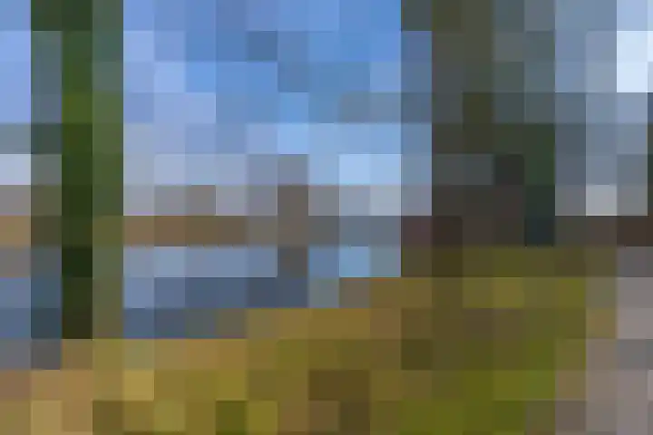 Beekoeverhof 3 Utrecht thumbnail 34
