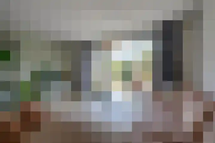 Beekoeverhof 3 Utrecht thumbnail 5