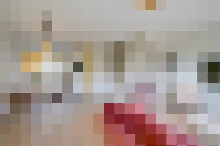 Beekoeverhof 7 Utrecht thumbnail 10