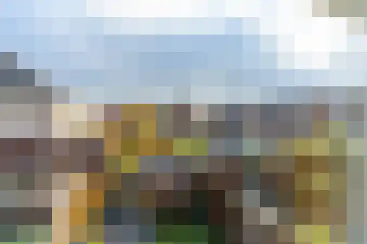 Beekoeverhof 7 Utrecht thumbnail 18