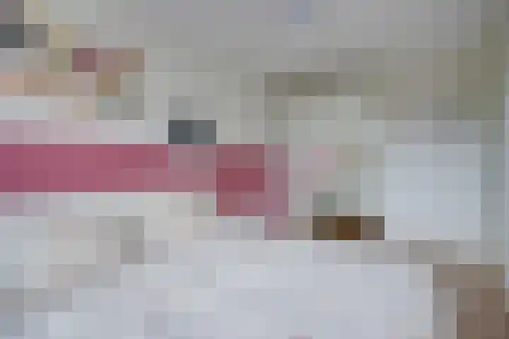 Beekoeverhof 7 Utrecht thumbnail 19