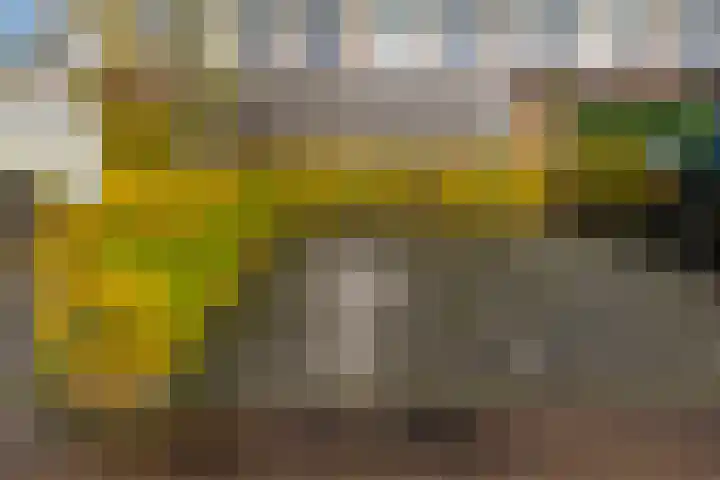 Beekoeverhof 7 Utrecht thumbnail 29