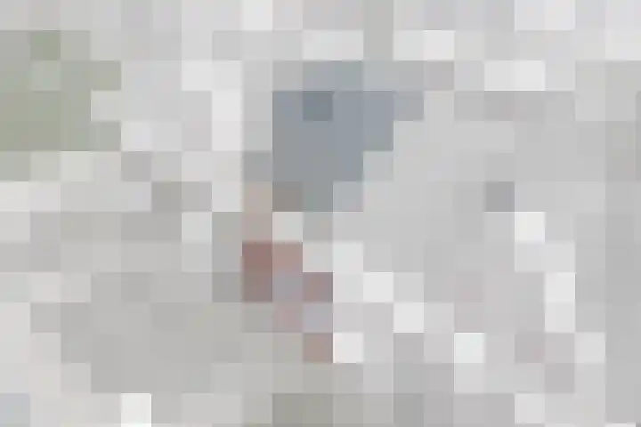 Beekoeverhof 7 Utrecht thumbnail 31