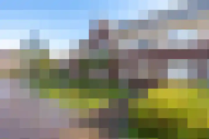 Beekoeverhof 7 Utrecht thumbnail 33