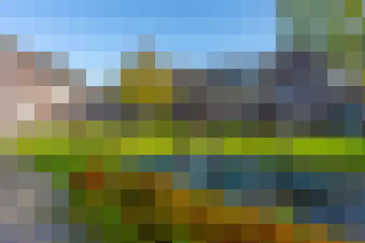 Beekoeverhof 7 Utrecht thumbnail 34