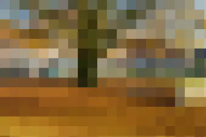 Beekoeverhof 7 Utrecht thumbnail 35