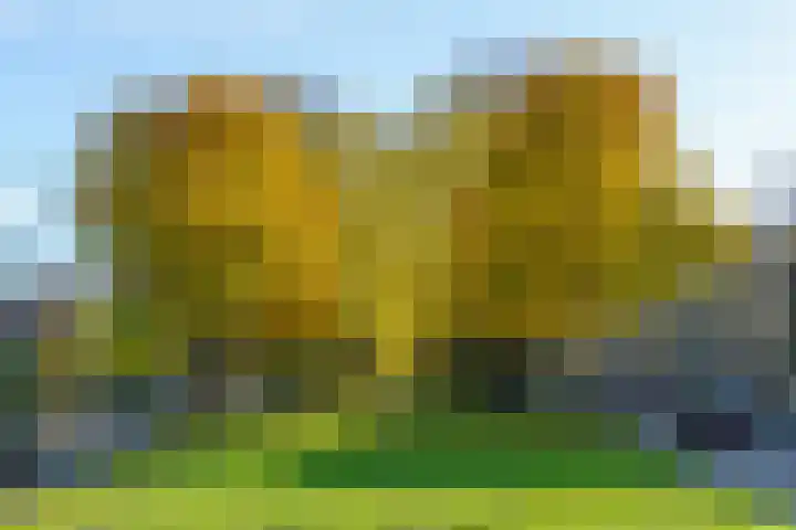 Beekoeverhof 7 Utrecht thumbnail 36