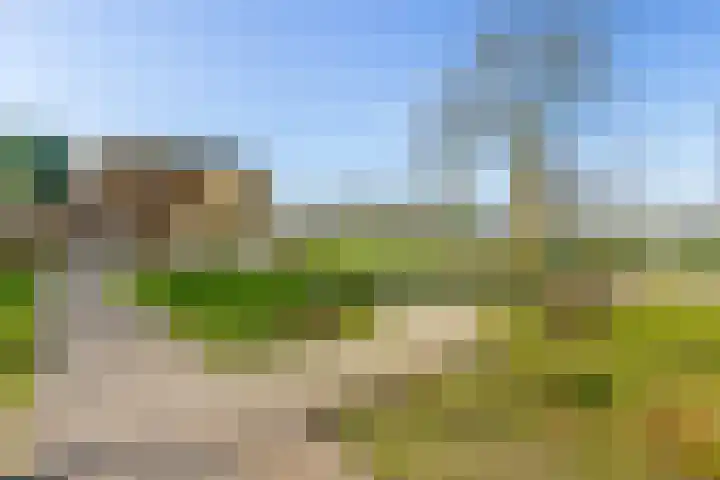 Beekoeverhof 7 Utrecht thumbnail 37