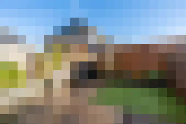Beekoeverhof 7 Utrecht thumbnail 7