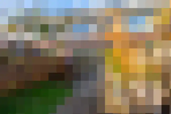 Beekoeverhof 7 Utrecht thumbnail 8