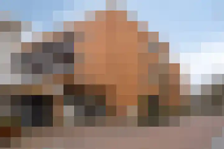 Beekpark 35 B Apeldoorn thumbnail 36
