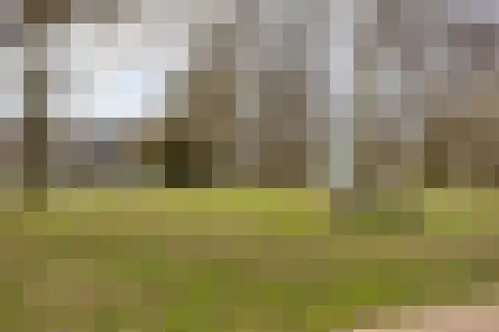 Beekpark 35 B Apeldoorn thumbnail 39