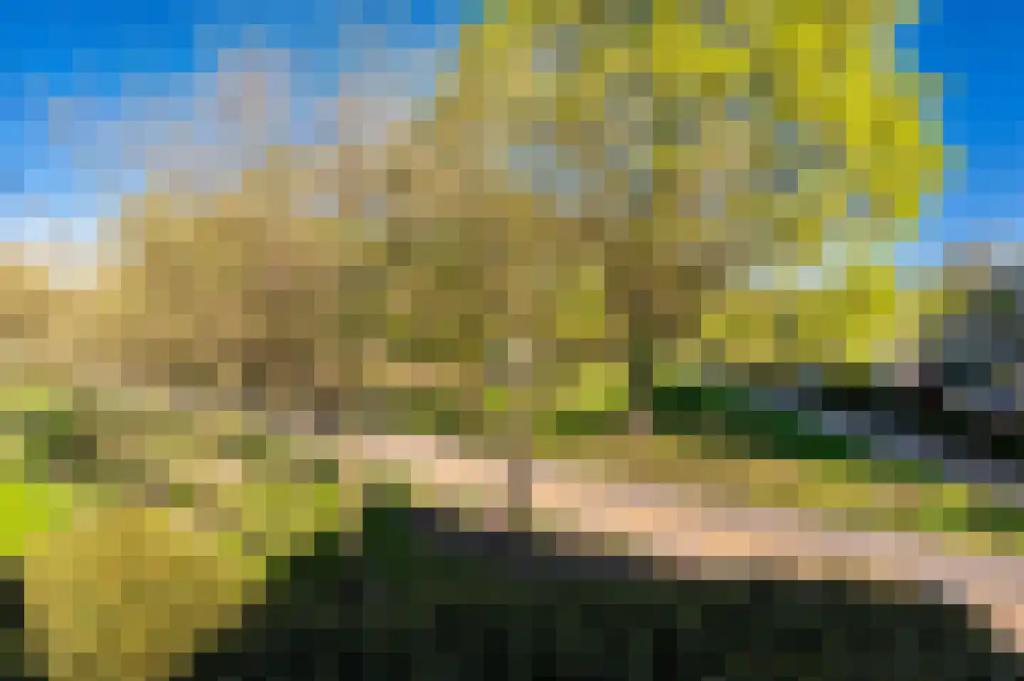Beekpark 45 A Apeldoorn thumbnail 25