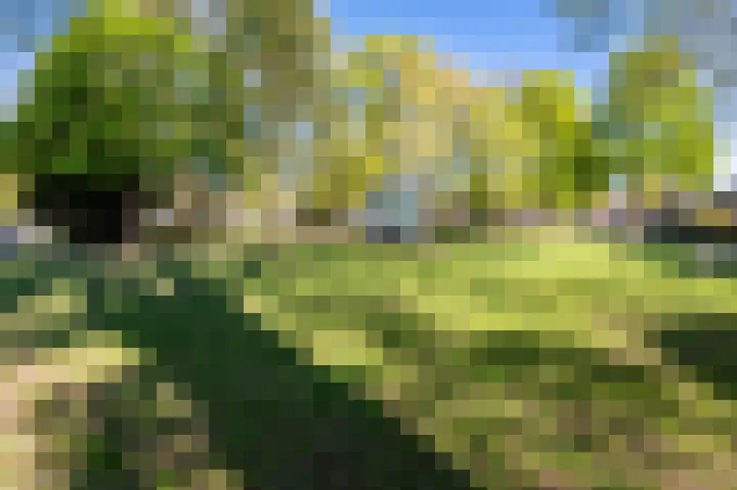 Beekpark 45 A Apeldoorn thumbnail 28