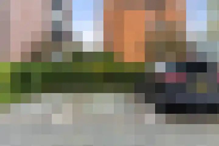 Beekpark 71 Apeldoorn thumbnail 35