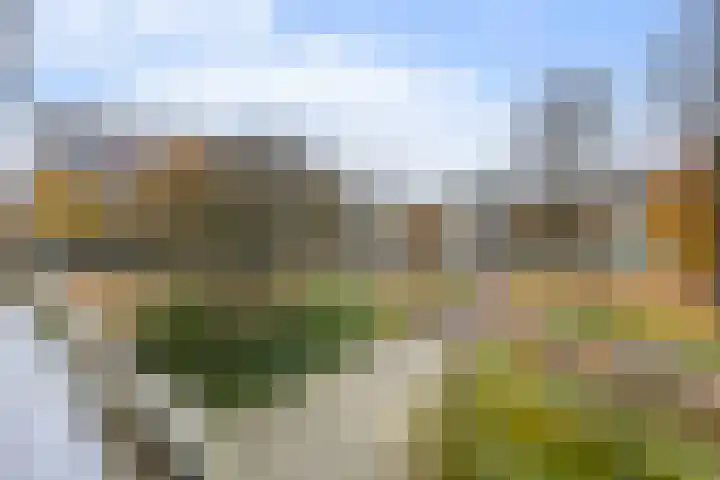 Beekpark 71 Apeldoorn thumbnail 4