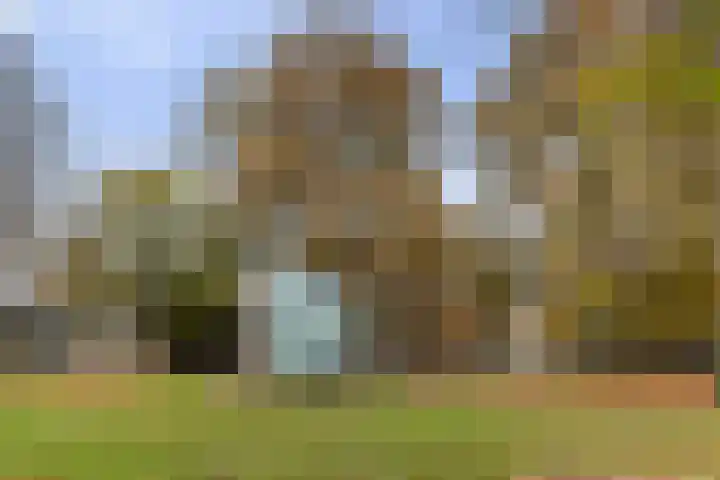 Beekpark 71 Apeldoorn thumbnail 45