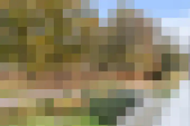 Beekpark 71 Apeldoorn thumbnail 5