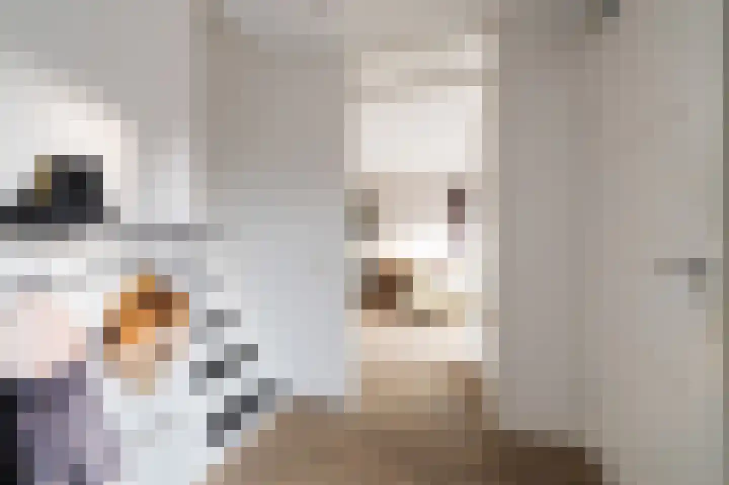 Beekpunge 102 Tegelen thumbnail 22