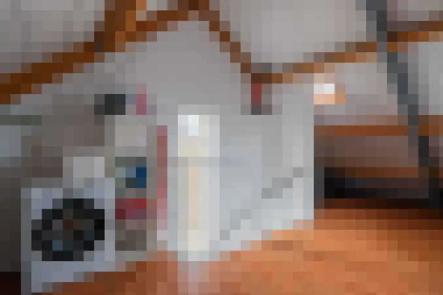 Beekpunge 102 Tegelen thumbnail 33