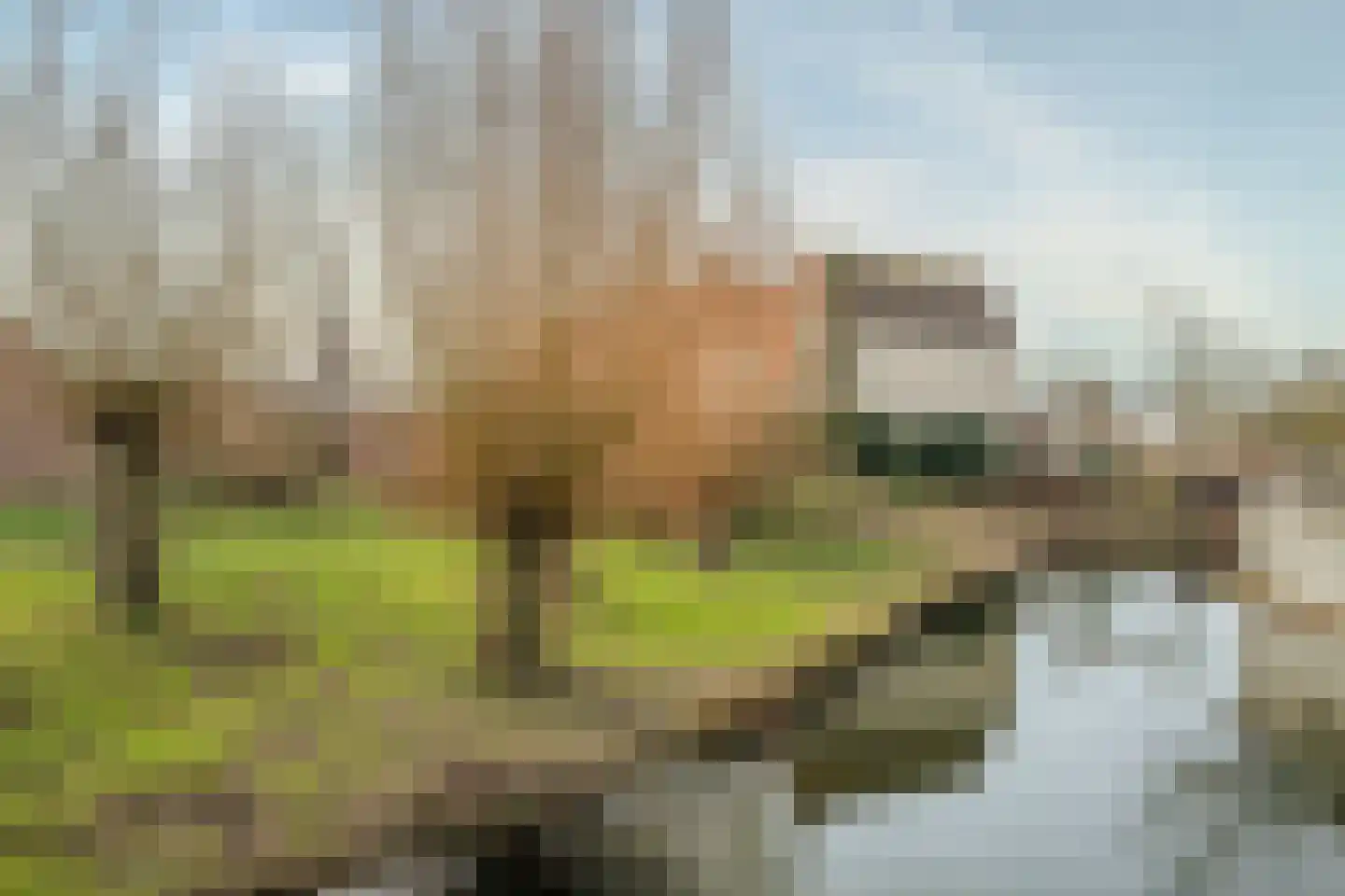 Beekpunge 102 Tegelen thumbnail 45