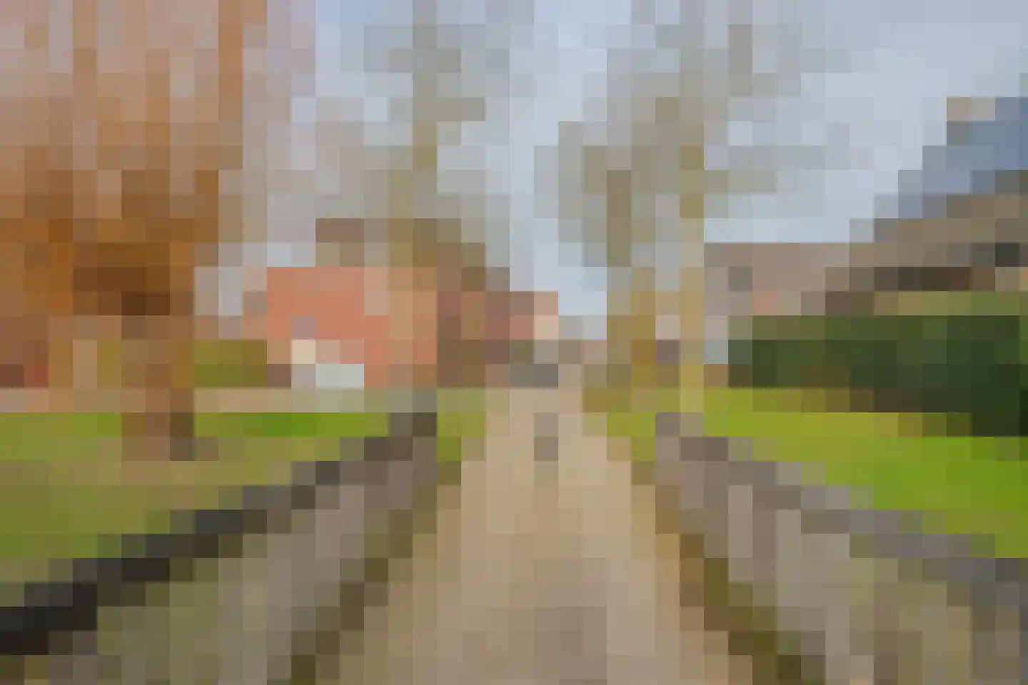 Beekpunge 102 Tegelen thumbnail 46