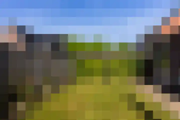 Beekpunge 111 Schoonebeek thumbnail 13