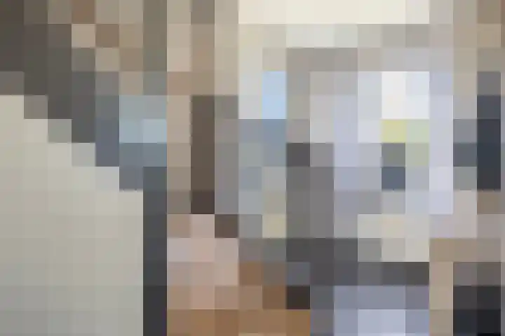 Beekpunge 111 Schoonebeek thumbnail 15