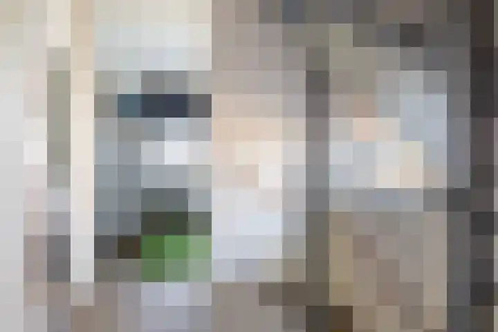 Beekpunge 111 Schoonebeek thumbnail 27