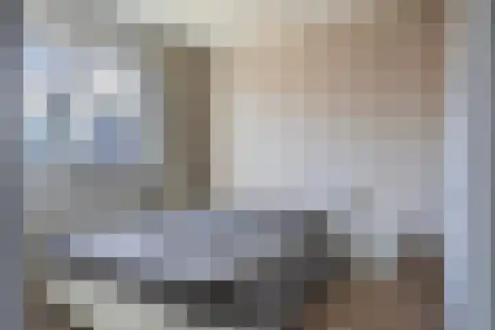 Beekpunge 111 Schoonebeek thumbnail 28