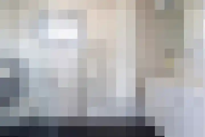 Beekpunge 111 Schoonebeek thumbnail 32