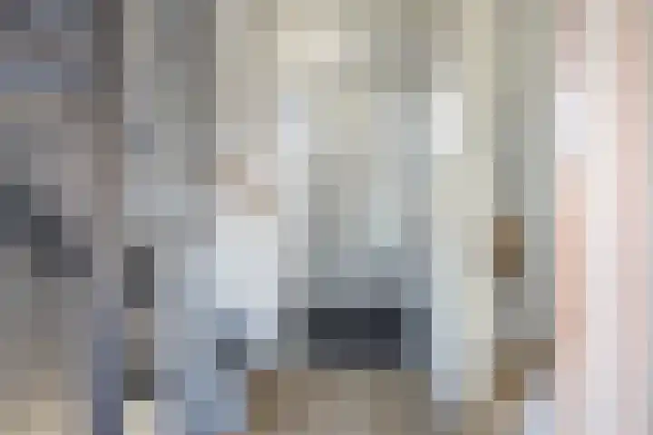 Beekpunge 111 Schoonebeek thumbnail 35