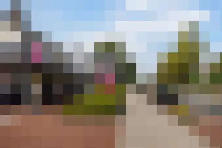 Beekpunge 111 Schoonebeek thumbnail 42